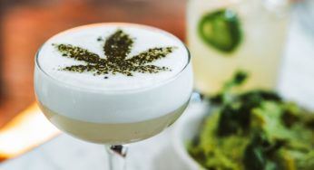 Last Dance with Mary Jane – Deaths Associated with Synthetic Marijuana