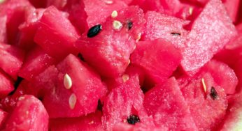 Another Salmonella Outbreak! This Time, It’s Melons
