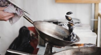 Finding Opioids in Mussels – Anyone See a Problem Here?