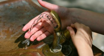 What I Wish My Fellow Texans Knew About Lead (And Why It Should Concern You Too)