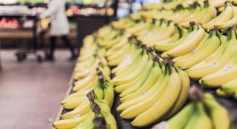 Amazon’s Solution to Food Deserts