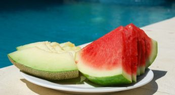 Oh, We Are Halfway There – A Mid-Year Recapping of Salmonella and E. coli Outbreaks