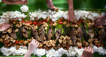 GMO Rice May Be A Solution to World Hunger