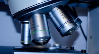 Get Some Culture: A Guide to Culture Independent Diagnostic Tests vs Benefits of Culture