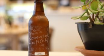 Are You Kombucha Curious?