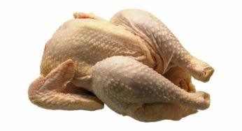 Multistate Raw Chicken Salmonella Outbreak