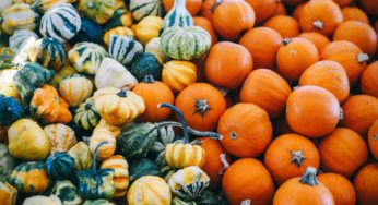 Wait… Bitter Pumpkins Can Make You Go Bald?