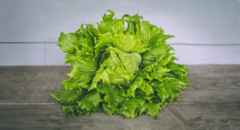 The Lange Law Firm Files First Romaine Lettuce E coli Lawsuit in Romaine Lettuce E coli Outbreak