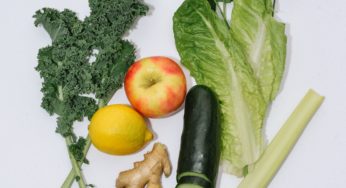 PETA, Veggies Can Give You Ecoli, Too!