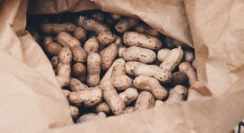 Zego Making Food Safer for Those with Food Allergies