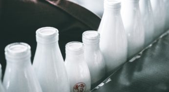 Bruce Who? Raw Milk From Pennsylvania Linked to Brucella Infection