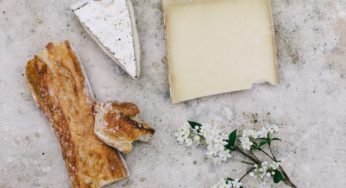 Raw Milk Cheese Strikes Again