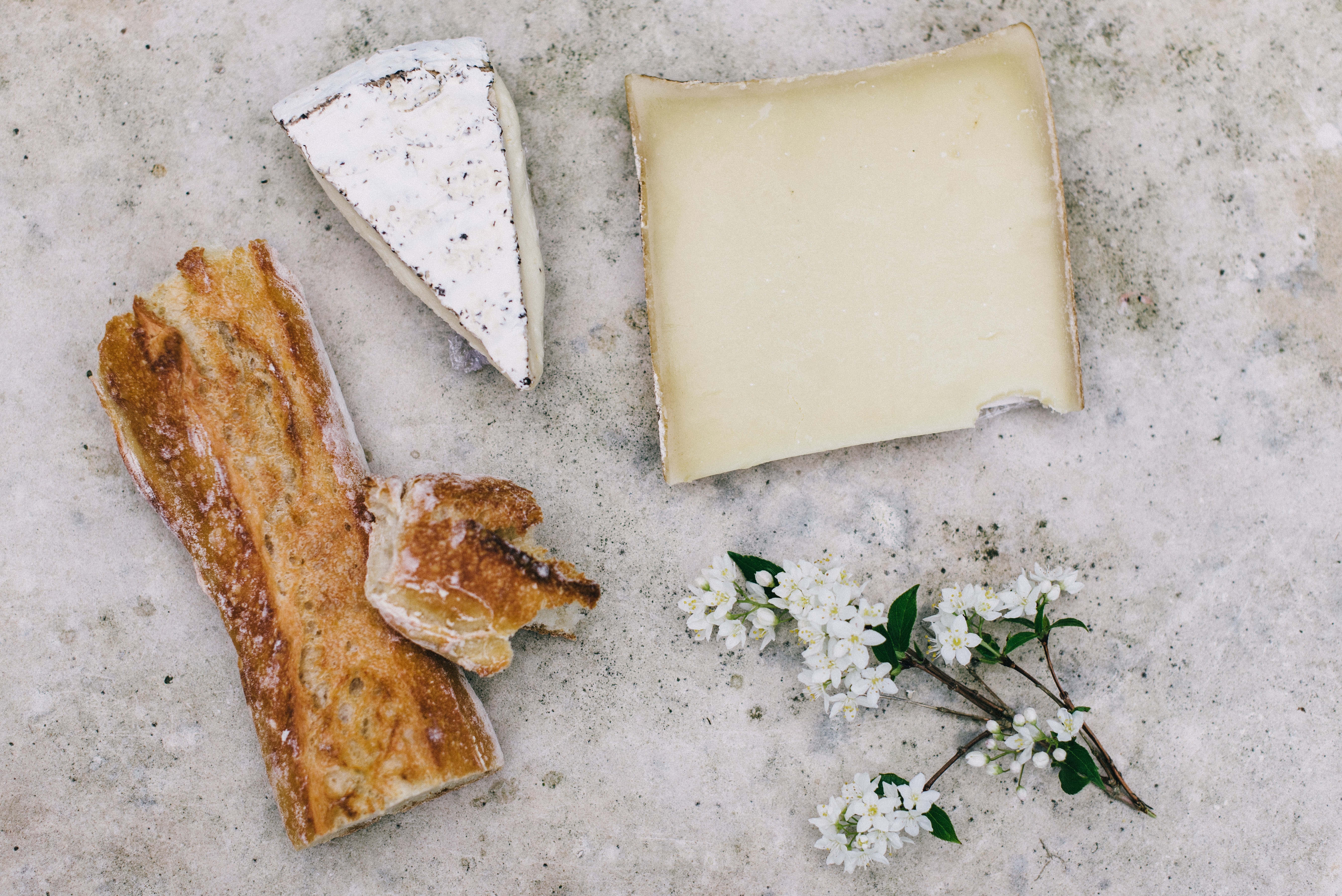 Cheese and bread on display