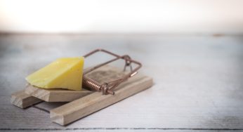Could the Keto Diet Up Your Food Poisoning Risk?