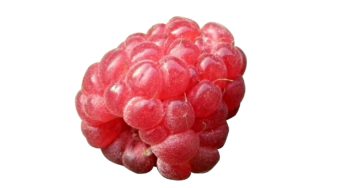 Could a Cyclospora Outbreak Make a Comeback?