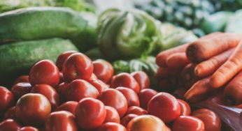 Del Monte Veggie Tray Salmonella Outbreak