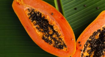 There’s Another Salmonella Papaya Outbreak