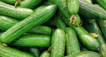 Lange Law Firm Hired in New York Cyclospora Outbreak