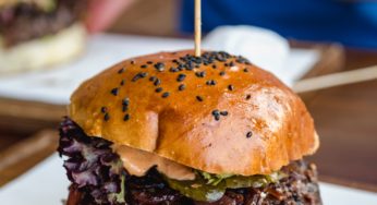 Bison Burger Ecoli Outbreak & Recall
