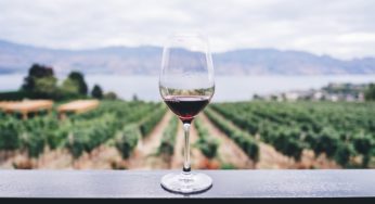 Has Cyclospora Hit Cooper’s Hawk Winery in Florida?