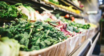 80 Cases of Cyclospora Reported in Massachusetts