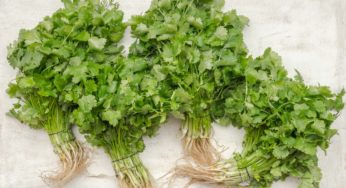 Could Cyclospora Make a Comeback This Summer?
