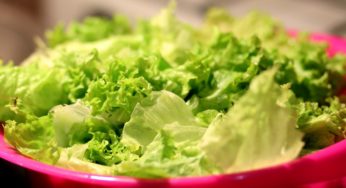 Could Romaine Be the Source of the Wisconsin E coli Outbreak?