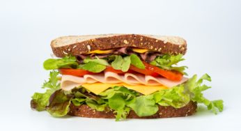 Gainesville Florida Salmonella Outbreak – Source Maybe Boxed Lunches