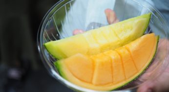 Tailor Cut Produce Melon Mix Salmonella Outbreak