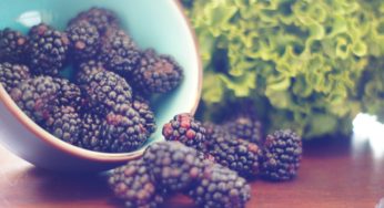 Fresh Thyme Blackberry Hepatitis A Outbreak