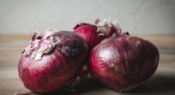 US Red Onions Salmonella Outbreak Sickens 339 Canadians