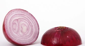 British Columbia Red Onions Salmonella Outbreak
