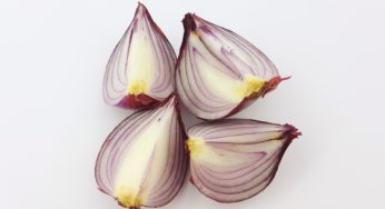 Sysco Recalls Red Onions in Salmonella Outbreak