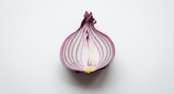 Si Casa Flores Salmonella Outbreak Caused By Red Onions?