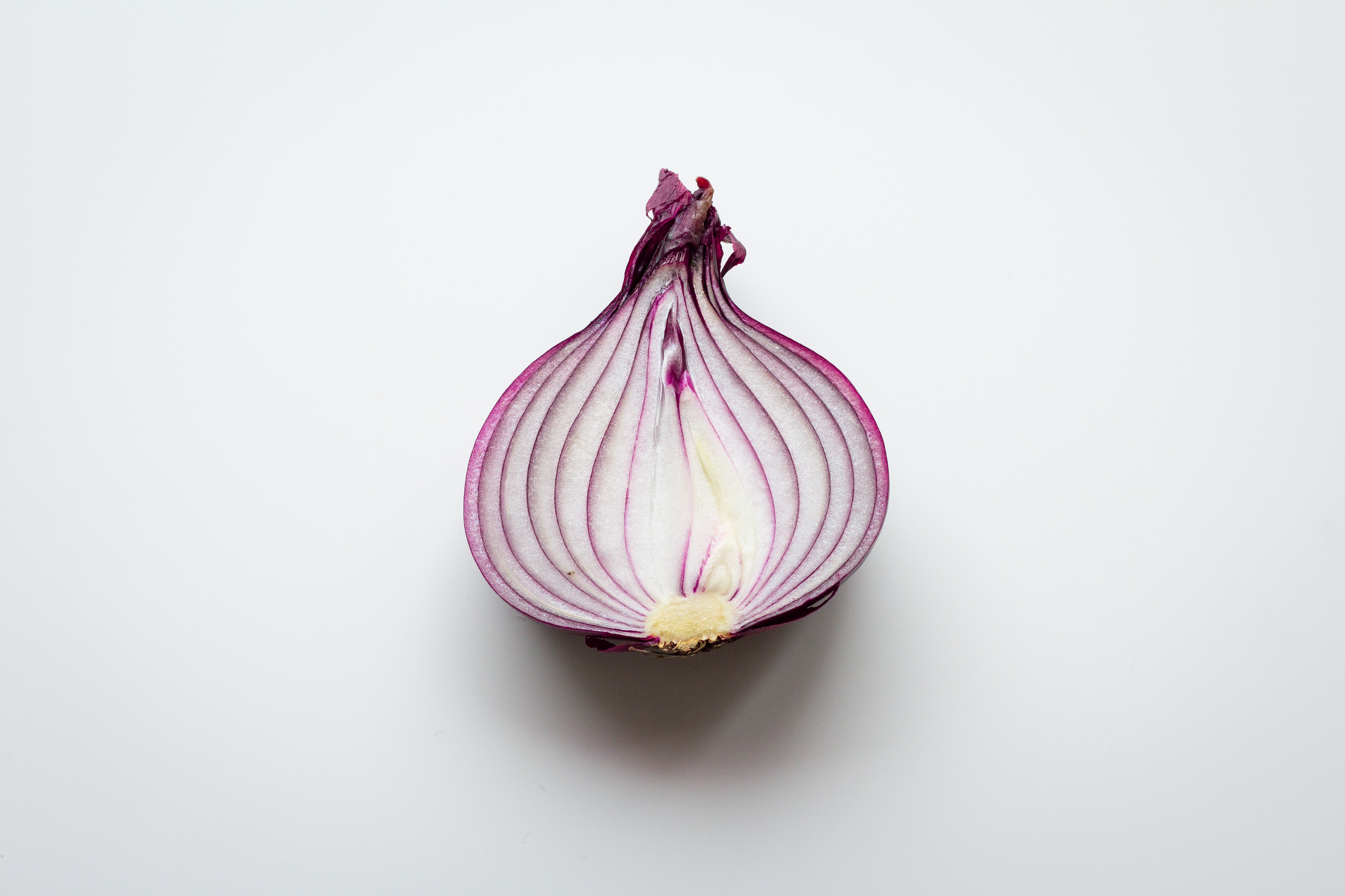 Si Casa Flores Salmonella Outbreak Caused By Red Onions?