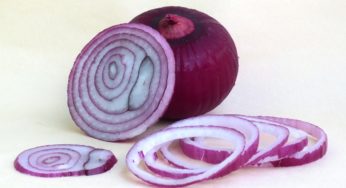 Montana Red Onions Salmonella Outbreak