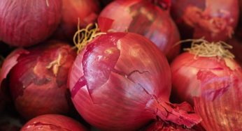 Michigan Red Onions Salmonella Outbreak — Mystery Solved! 