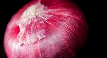 Wyoming Red Onion Salmonella Outbreak