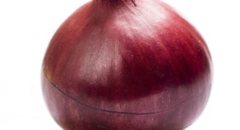Utah Onions Salmonella Outbreak