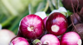 Red Onions Salmonella Outbreak Sickens 1208 in US and Canada