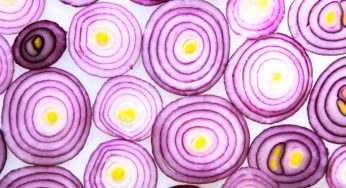 Arizona Red Onion Salmonella Outbreak