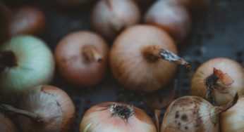 Onion Salmonella Outbreak – Is Your Store on the List?