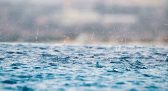 Where Does Legionnaires’ Disease Come From?