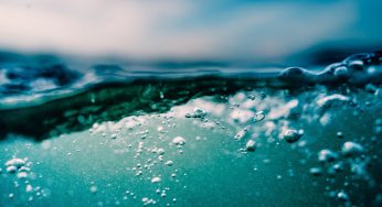 How Do You Prevent Legionnaires’ Disease?