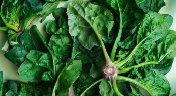 Mystery E. coli Outbreak – Leafy Greens Again to Blame?