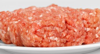 Raw Ground Turkey Salmonella Hadar Outbreak