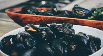Potters Pond Campylobacter Outbreak