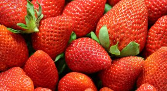 Fresh Strawberries Hepatitis Outbreak