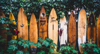 Hilton Grand Islander Hawaii Legionnaires Disease Outbreak