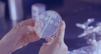 Ecoli in Michigan, Source Still Pending